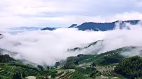 Fengyin Inn Hotels near Qixingdun Observation Deck