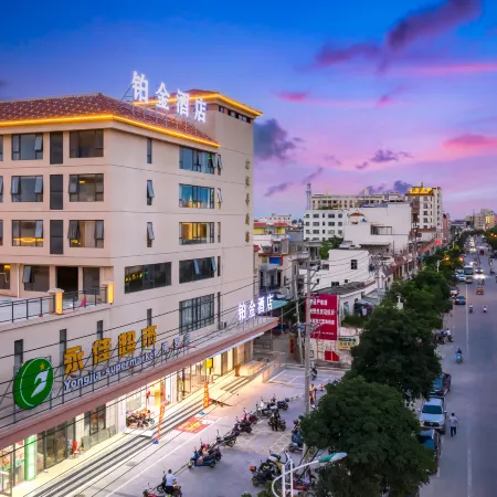Ledong Platinum Hotel (Longmuwan)