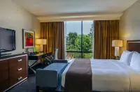 Doubletree by Hilton Los Angeles Downtown Hotels in Los Angeles