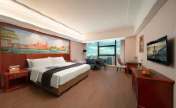 維也納酒店（遵義新蒲日月星城店）