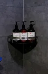 fushang light