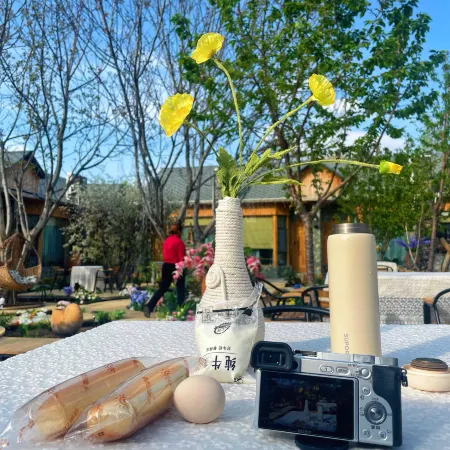 Nianchu Stellar Blossom Lodge · FL.wood Boutique Homestay
