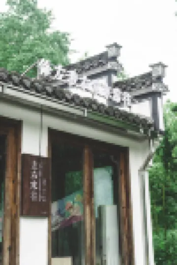 黃山市布蘭頓新安里民宿