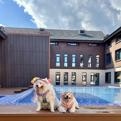 Cute Beast Hotel (Beijing Yanqing World Horticultural Park Branch) Hoteles cerca de Yuanshi Forest