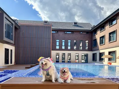 Cute Beast Hotel (Beijing Yanqing World Horticultural Park Branch) Hotel in zona Guyaju Site