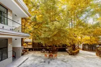 Tengchong Poetic Living Hot Spring Boutique B&B (Ginkgo Village Branch) Hotels in Ginkgo Village