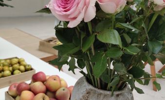 Shangri-La and Slow Homestay