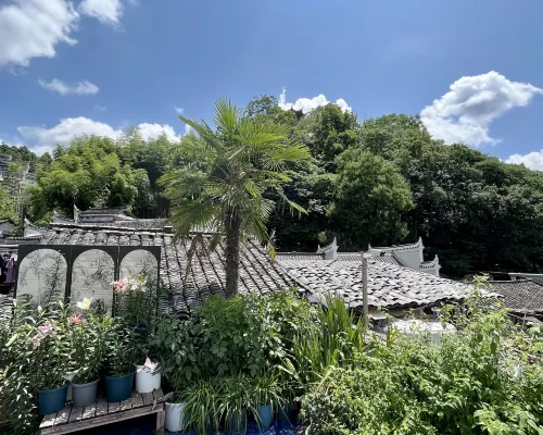 Phoenix Moonlight View Inn الأماكن العامة Photos