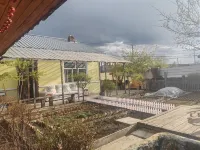 Forest Homestay Hotels in Moridaga Downtown