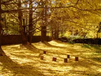 Tengchong Yingxingyuan Farm Stay