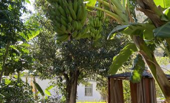 Yongsheng Rehe Red Hot Spring Manor