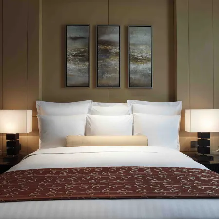 Marriott Executive Apartments Tianjin Lakeview(Municipal Government Branch)