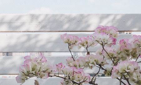 Leshan Yashang Yinting Hotel (High-speed Railway Station Food Street Branch) - Housity