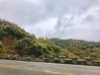 โรงแรมซานจู้ หนานเหมิน เทียนจูซาน - วิวภูเขา