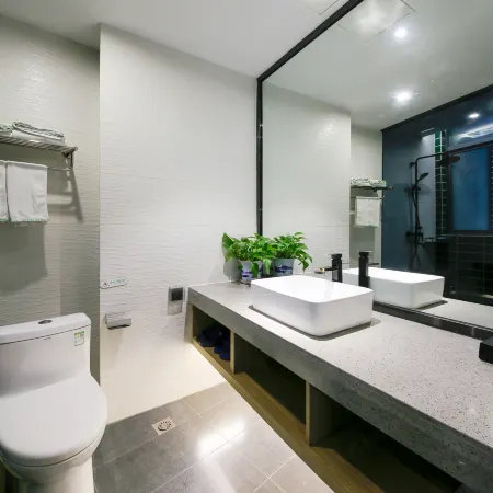 GreenTree Zhixuan Hotel (Lu'an Hongjie Wanda Plaza)
