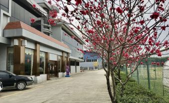 WuZhou Fang Cao Du  Landscape Theme Hotel