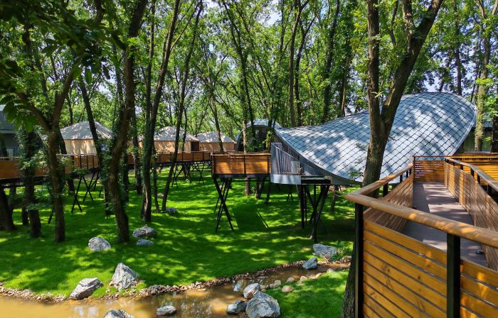 Wanshan Green Paradise Tongyu Tree House Homestay