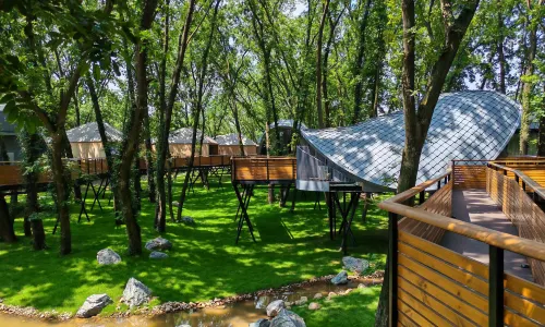 Wanshan Green Paradise Tongyu Tree House Homestay