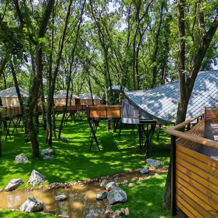 Wanshan Green Paradise Tongyu Tree House Homestay