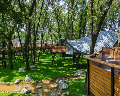Wanshan Green Paradise Tongyu Tree House Homestay Hotels in Lujiang