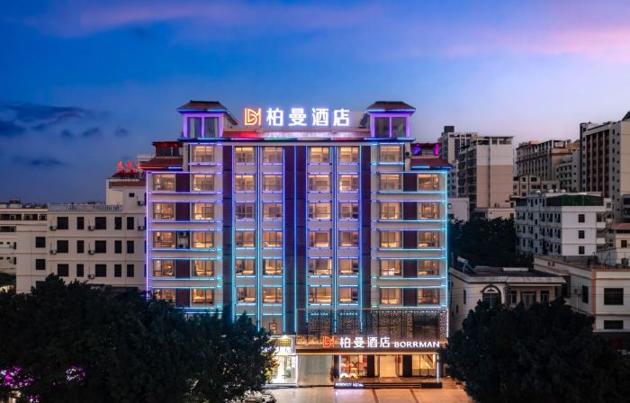 Borrman Hotel (Dongfang Cultural Plaza Railway Station)