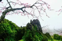 Xingfu Hotel - เปิดใหม่