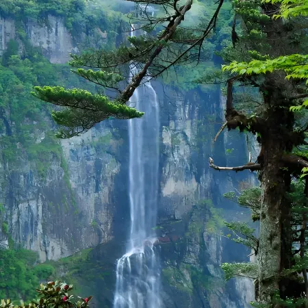 Juxianlou · Tranquil Vacation Boutique Stay (Wawu Mountain Scenic Area)