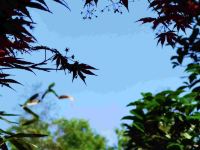 武夷山那里六号院 - 蛙鸣豪华标间