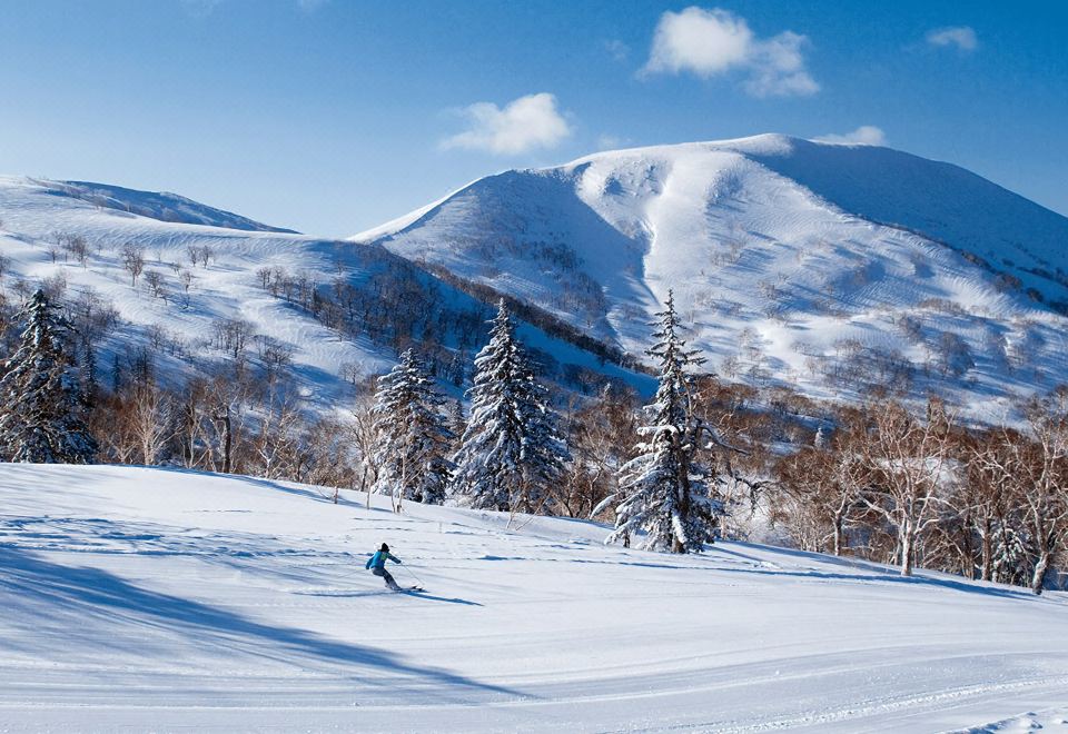 Mapple Express Hotel Over view