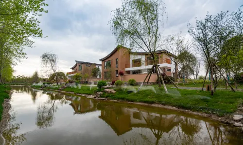 Huanshu wild luxury Shanshu (Yellow Sea forest store in Dongtai)