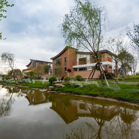 wild luxury Shanshu (Yellow Sea forest store in Dongtai)