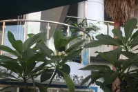 Habitat brigade apartment (ding vientiane in nanning eastern stores) - Condos