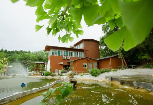 Zhujiawan No.6 Homestay 주변 풍경