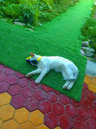 Shancheng Villa (Huanghuang Village Store) Отели рядом с достопримечательностью «Xinyi Self-Drive Campground (Sayram Lake Branch)»