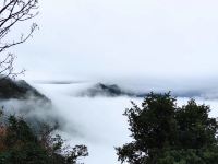 汉中紫薇山庄 - 酒店景观