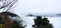 Ziwei Mountain Villa - Mountain view