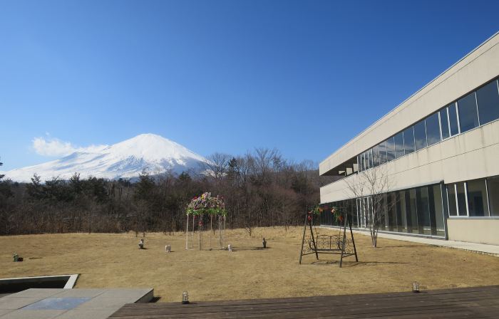 Dadu Fuji Resort Hot Spring
