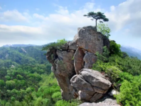 平邑到此一棧賓館 平邑酒店