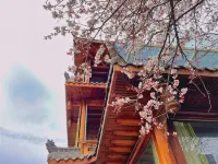 Ajimu Guest House