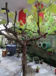 Wenjunge Boutique Hostel