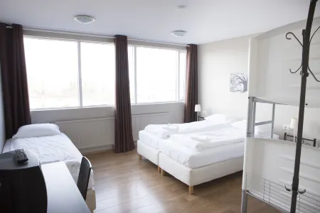 Lyngás Guesthouse Отели в г. Эджилсстадир