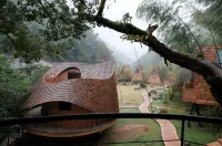 Tree Wow (Yuyao Store) Hotels in Yuyao