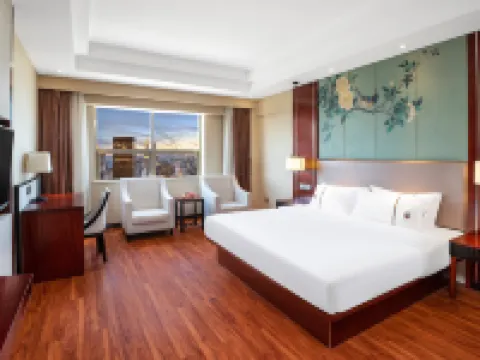 田東江灣半島酒店 田東酒店