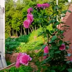 Huishe Homestay Отели рядом с достопримечательностью «Станция Цимшань»