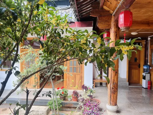 LiJang Lovefreedom Girls' Youth Hostel