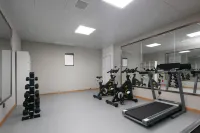 Vienna International Hotel Pingxiang Luxi Wugong Mountain Branch - Gym