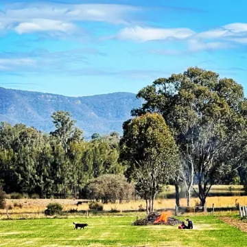 Copper Creek Retreat - Sleep Next Door to the Lions
