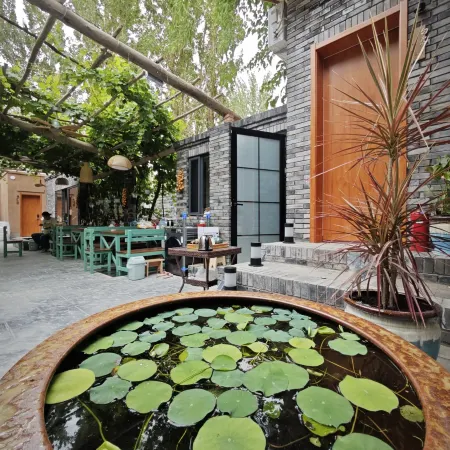 Xinyu Homestay Grape Valley Scenic Area Store