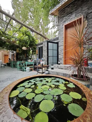 Xinyu Homestay Grape Valley Scenic Area Store
