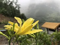 Yuening Mountain Lodge - เปิดใหม่